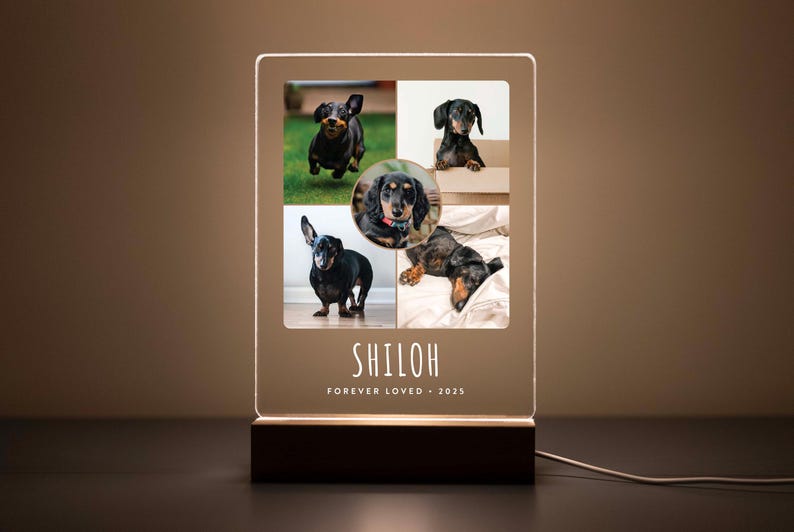 LED pet memorial plaque with five photos of a black and tan Dachshund named Shiloh, engraved with ‘Forever Loved • 2025’ on a wooden base.