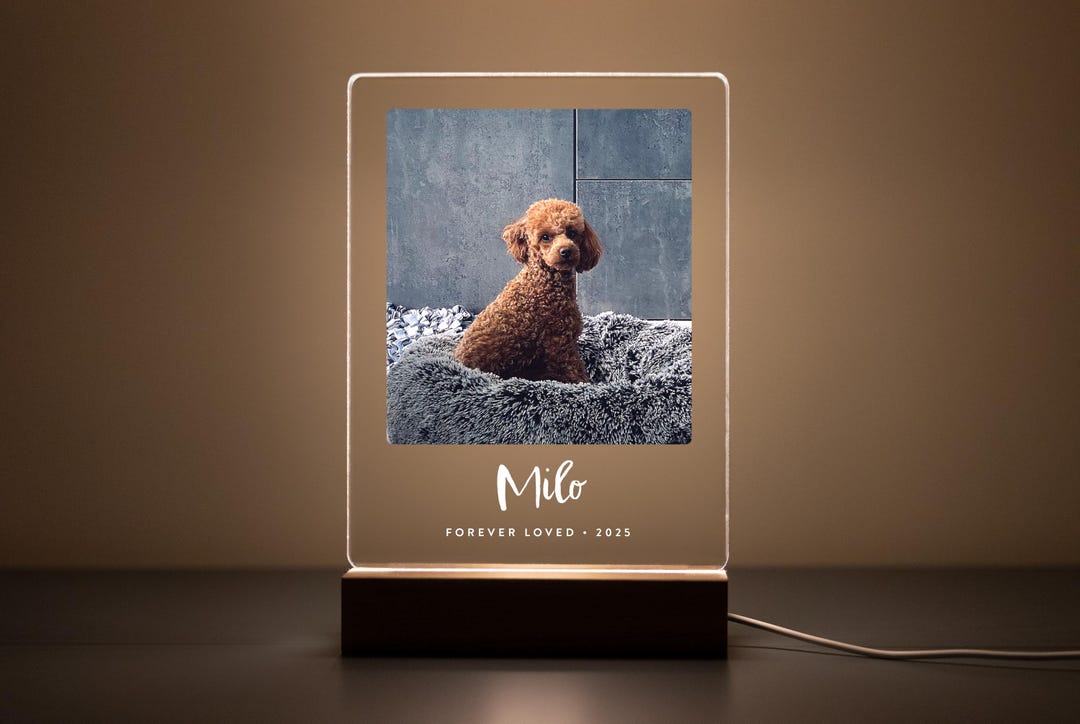 Personalized Pet Memorial LED Night Light — Custom Dog or Cat Photo ...