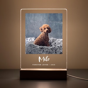 Pet Memorial Gift with LED Light, Pet Loss Sympathy Keepsake, Bereavement and Remembrance Gift, Custom Dog or Cat Photo Plaque, PML02