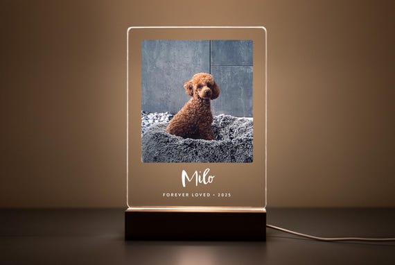 Personalized Pet Memorial LED Night Light — Custom Dog or Cat Photo Sympathy Gift