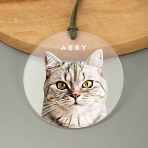 May include: A round, clear acrylic ornament with a photo of a tabby cat and the name "Abby" printed in white.