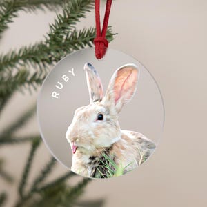 A round acrylic ornament displaying a illustration of a rabbit. The name is shown along the left side in white font. The frosted ornament is tied with a red cord, adding a cheerful touch.