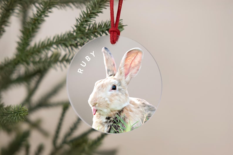 A round acrylic ornament displaying a illustration of a rabbit. The name is shown along the left side in white font. The frosted ornament is tied with a red cord, adding a cheerful touch.