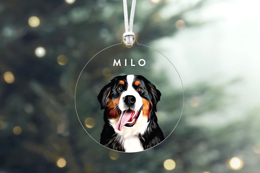 Personalized Pet Photo Ornament: Custom Acrylic Dog Memorial Gift, Dog ...