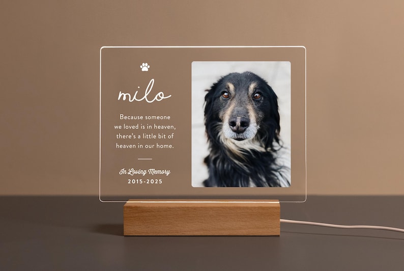 Custom Dog Memorial Plaque with Photo and LED Base – Personalized Pet Loss Gift for Dog Lovers
