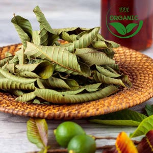 Feuilles de goyave séchées biologiques de qualité supérieure - Guajava psidium 100 % naturel pour tisanes, soins des cheveux et de la peau