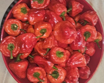 Pimientos Scotch Bonnet rojos - 2 libras