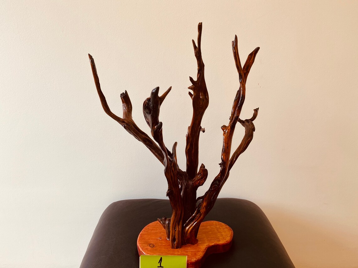 Tree Root Sculpture Wood Sculpture Unique Root Decoration Etsy