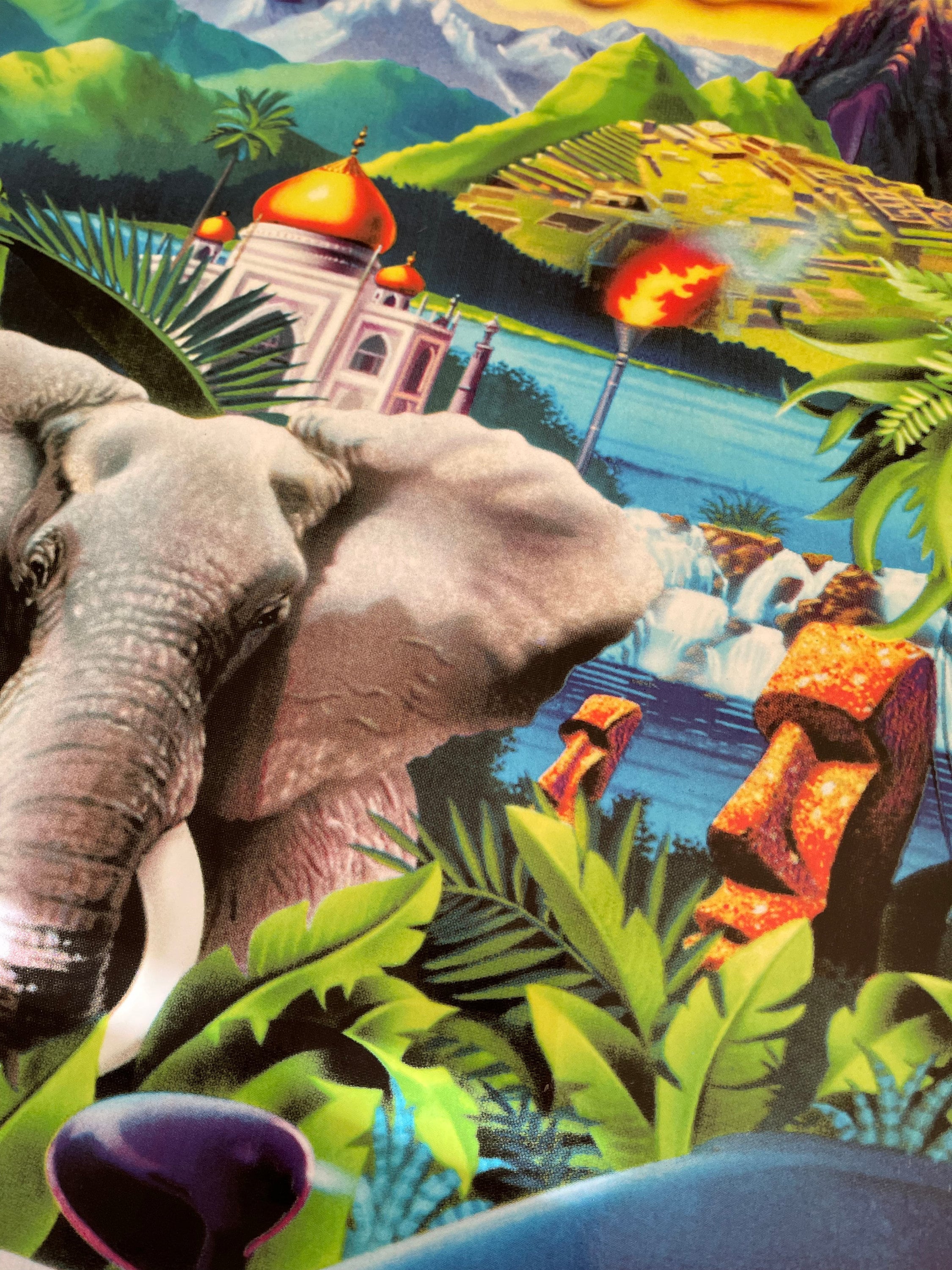 Cruis'n Exotica Side Art - Etsy