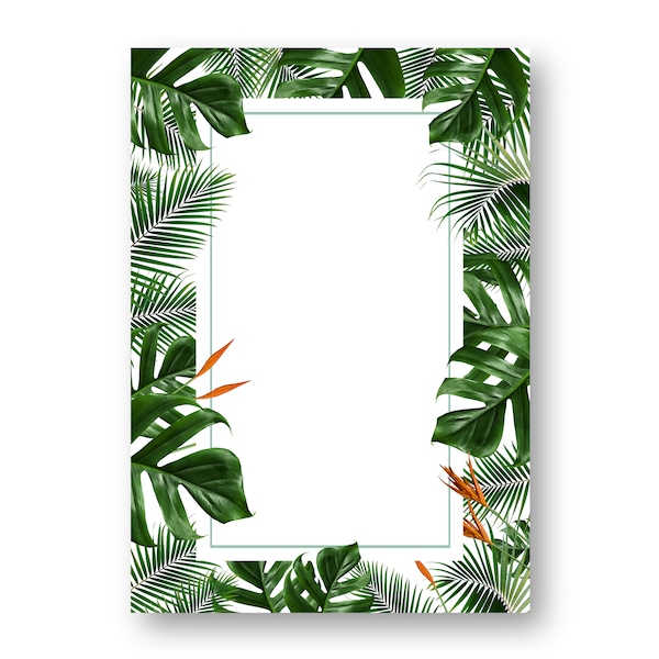 Tropical green leaf frame on  white background