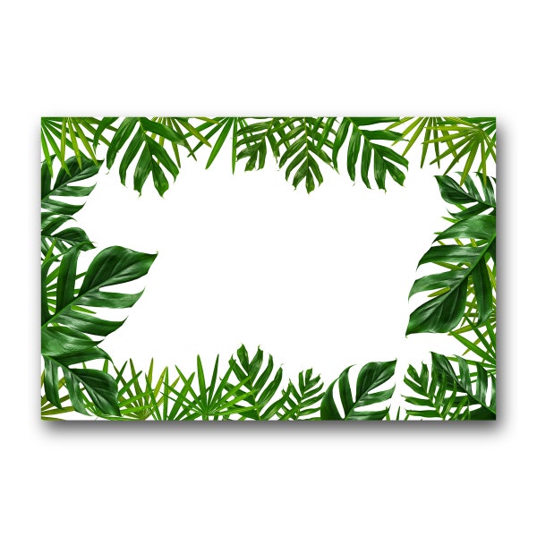 Tropical green leaf frame on  white background