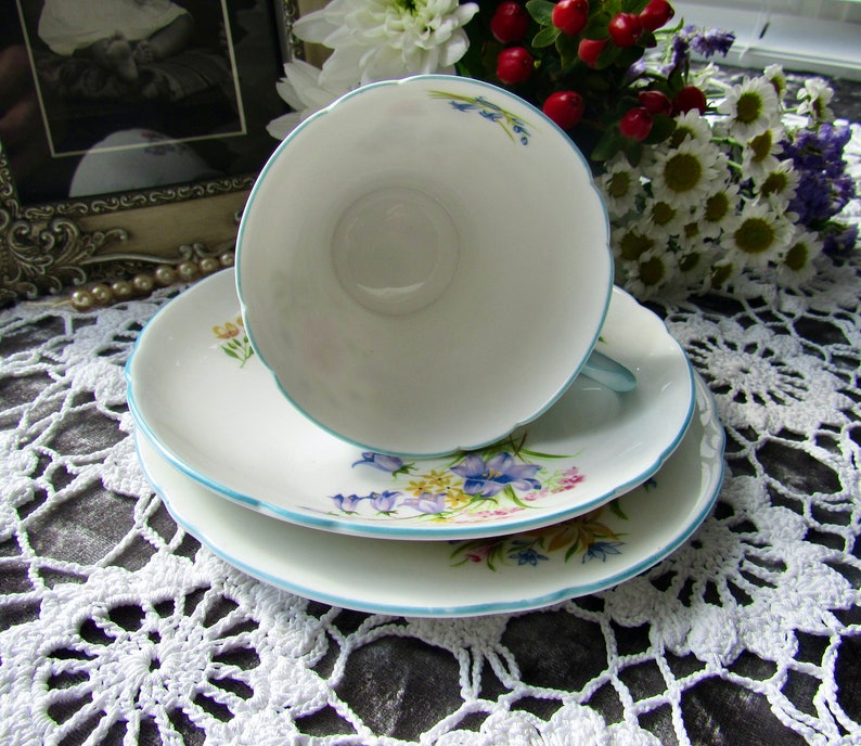 Shelley Fine Bone China, Wild Flowers No.13668, Shelley Trio, Shelley