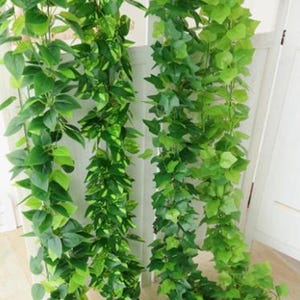 Artificial ivy green  pothos leaf decoration, green ivy vine leaves and tendrils