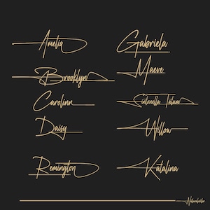 Benutzerdefiniertes Signaturdesign, handgeschriebenes Logo, kursives Logo, handgezeichnetes Schriftlogo, Handschriftlogo, Scriptlogo, Hochzeitsfotografie, Bloglogo