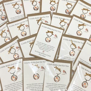 Llavero conmemorativo de Robin con tarjeta con poema personalizado / Recuerdo / Regalo de condolencias de bolsillo imagen 11