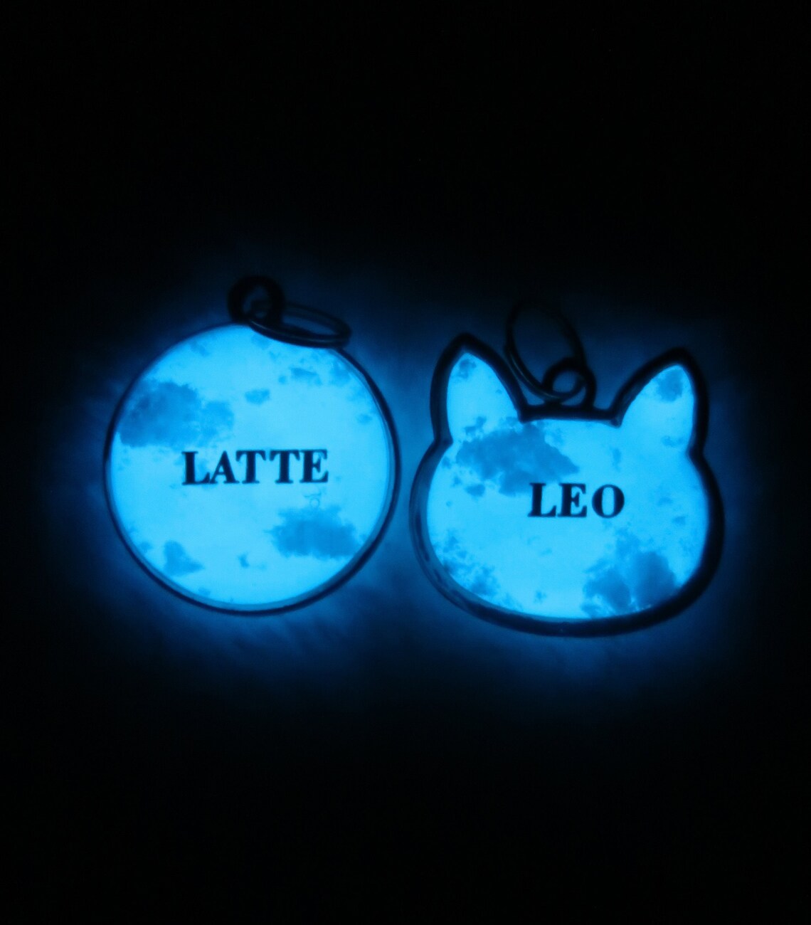 Glow in the Dark Pet ID Dog ID Dog Name Tag Pet Name Tag Etsy