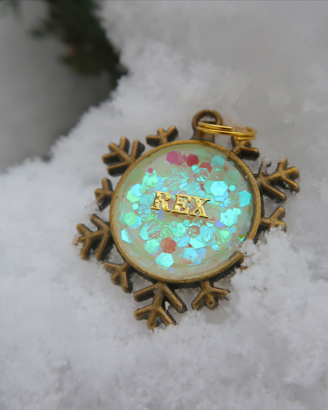 Glow in the Dark Pet ID Dog ID Dog Name Tag Pet Name Tag Etsy