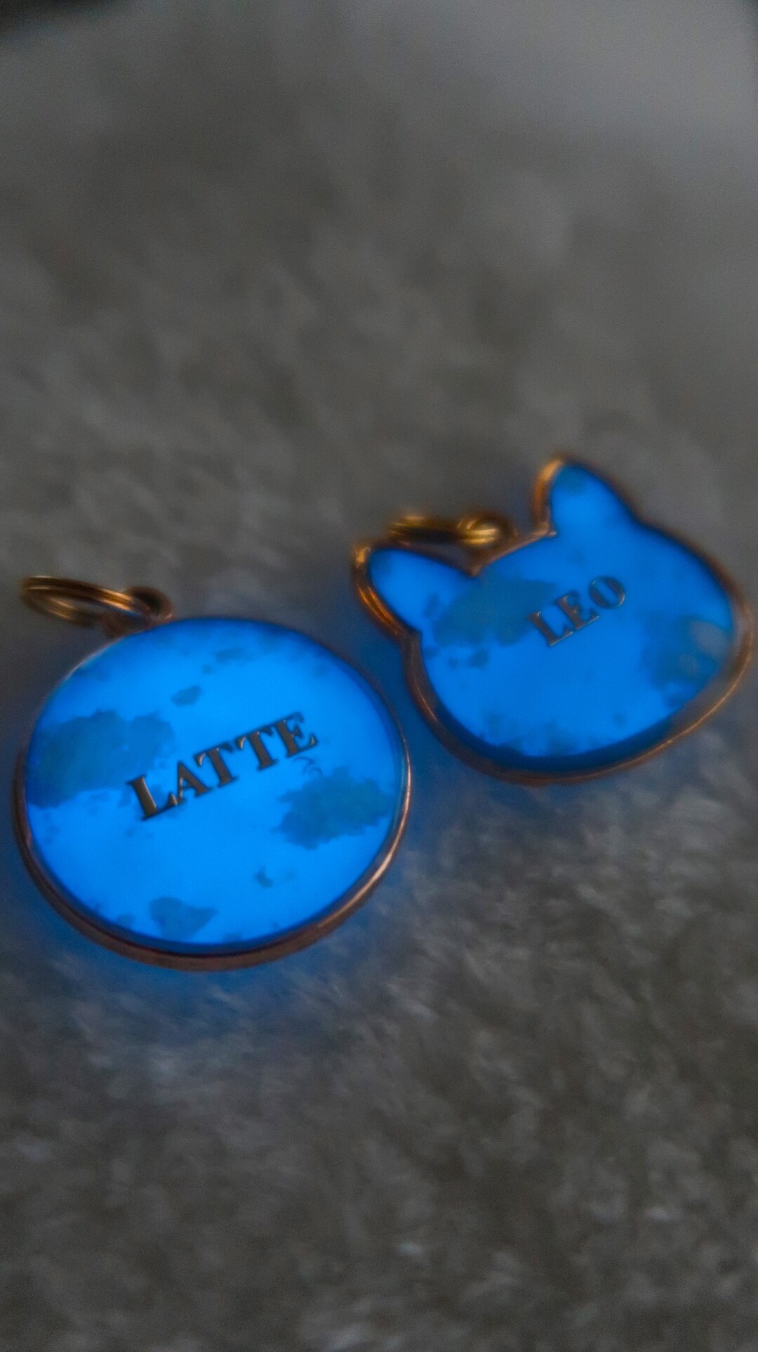 Pet Name Tag Dog Tag Dog Cat Name ID Tag Dog Name Tag Glow In The Dark pet-name-tag-dog-tag-dog-cat-name-id-tag-dog-name-tag-glow-in-the-dark