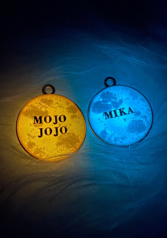Glow in the Dark Pet ID Dog ID Dog Name Tag Pet Name Tag Etsy