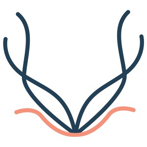 May include: A stylized illustration of a plant with two dark blue stems and a light pink base.