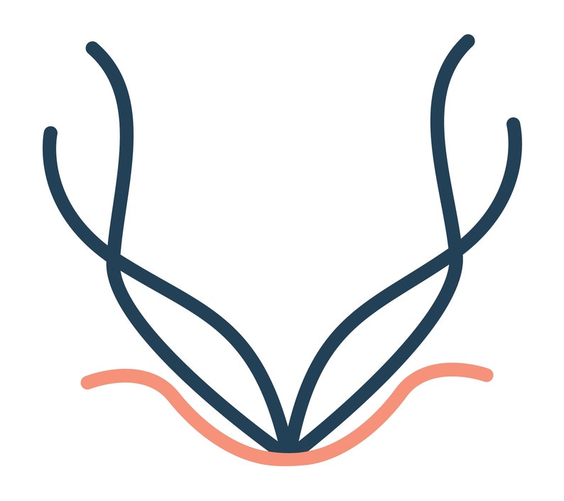 May include: A stylized illustration of a plant with two dark blue stems and a light pink base.