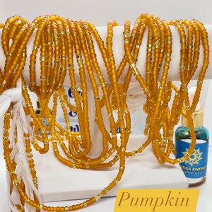 Pumpkin Orange Waist beads