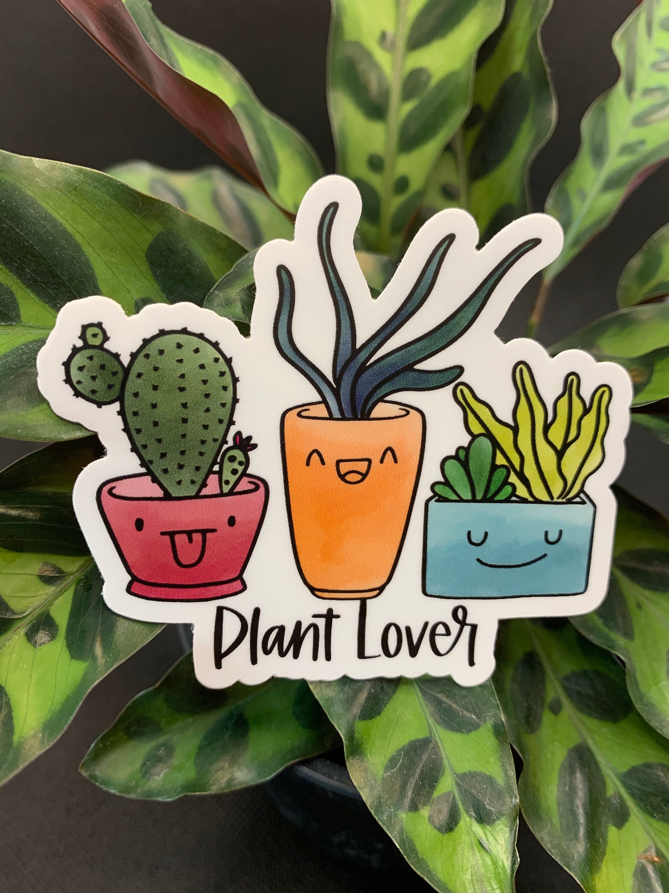 Plant Lover Sticker Etsy