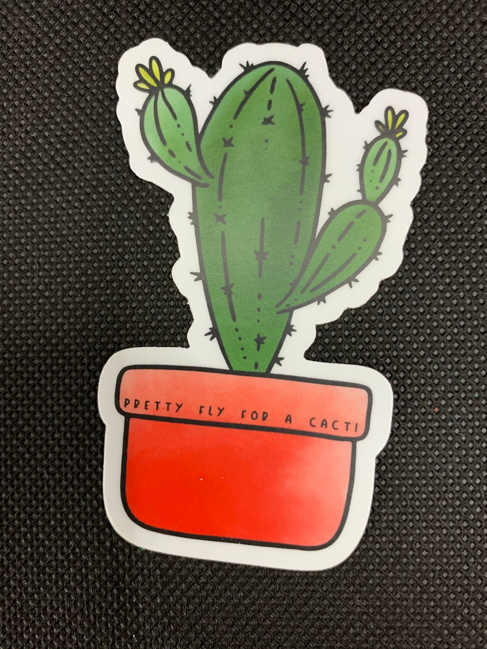 Pretty Fly for a Cacti Sticker Etsy