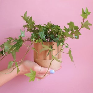 Eco Planter - TWIG - Planetenfreundlicher geometrischer Blumentopf