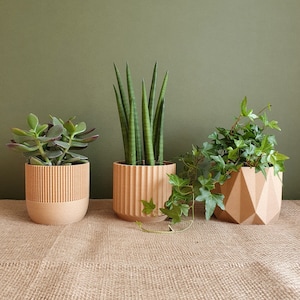Eco Planter - SET VON DREI - Planetenfreundliche geometrische Pflanzentöpfe