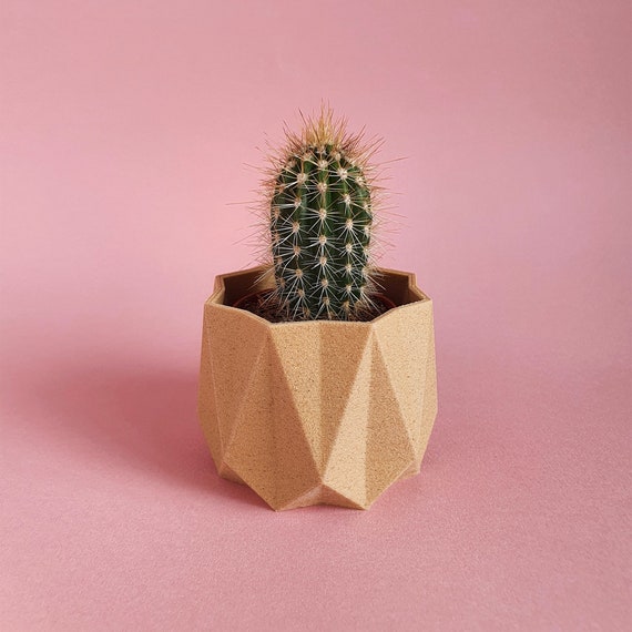 Geometric Indoor Planter | 3D Printed Wood Fibre or Eco Polymer Succulent Plant Pot