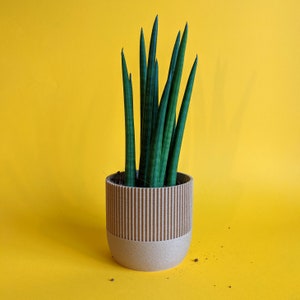 Eco Planter TWIG Planet Friendly Geometric Plant Pot image 6