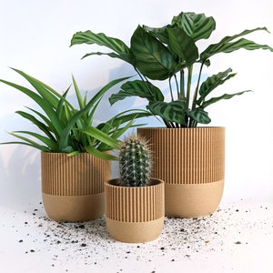 Eco Planter TWIG Planet Friendly Geometric Plant Pot image 5