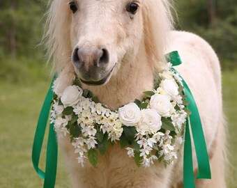 Unique, hand made Alpaca small pony flower garland in green, Ivory/ white. One off made to fit an Alpaca with satin ribbon for fastening.