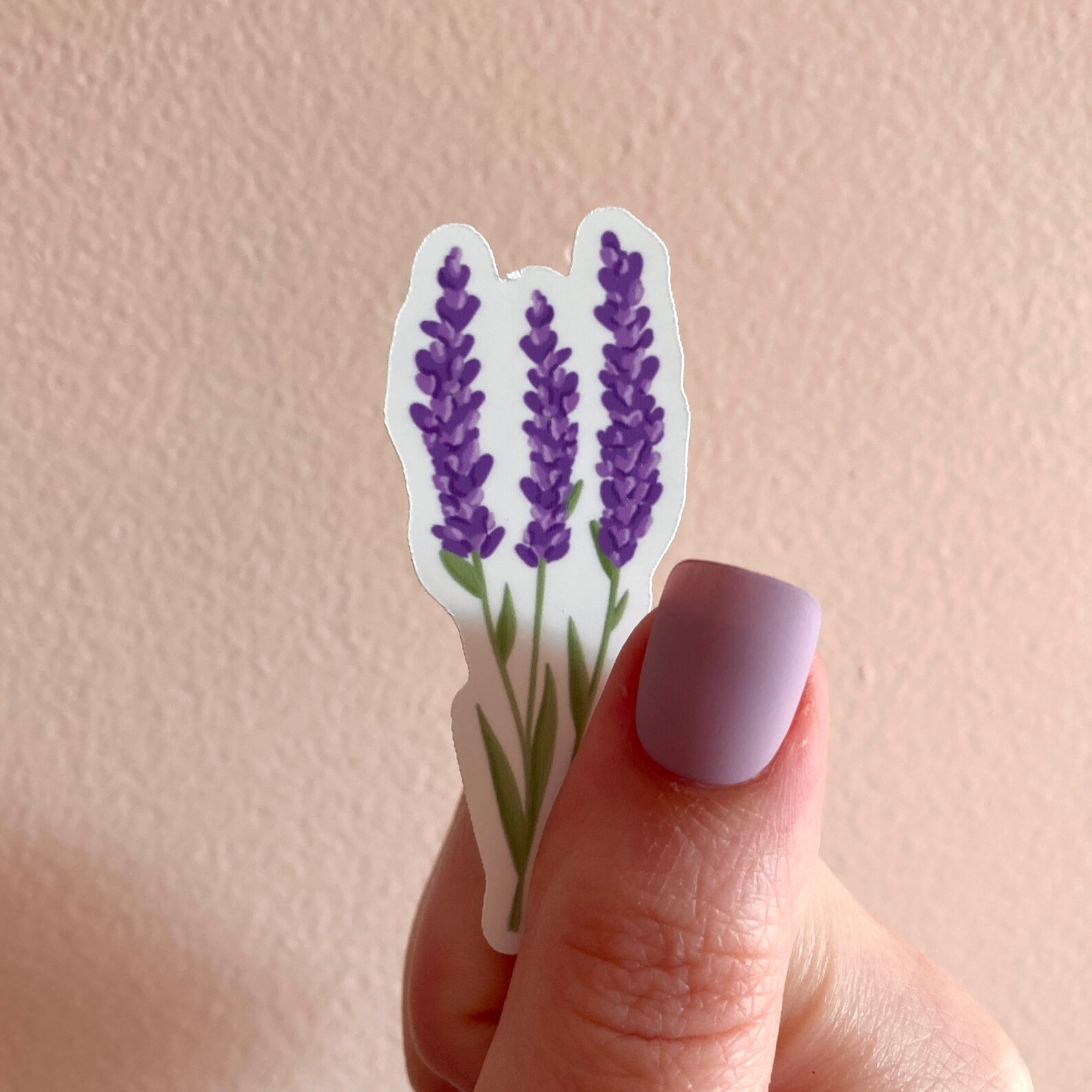 Lavender Sticker Etsy