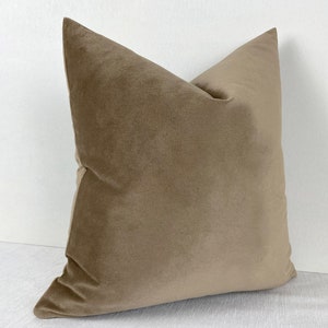 Brown Beige Velvet Pillow Cover, Soft Throw Pillow, Brown Beige Euro Sham Cover, Decorative Cushion Cover | All Duties Prepaid for USA