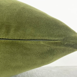 May include: A close-up of a green velvet pillow with a zipper closure. The pillow is soft and plush, and the fabric has a subtle texture.