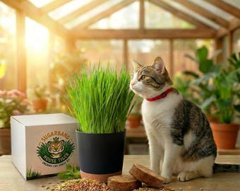 Organic Cat Grass Kit: USA-Sourced Seeds, Self-Watering Pot, Pet-Safe Treat