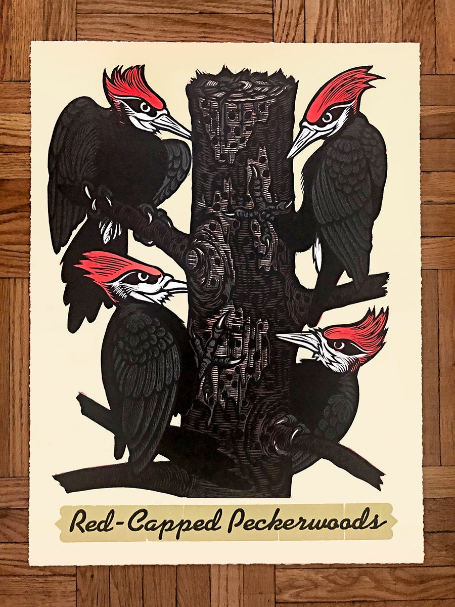 Red Capped Peckerwoods - Color Woodcut and Letterpress Print - Etsy