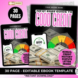 Credit Repair eBook: Dispute Letter Template, PLR Resell (30 Pages)