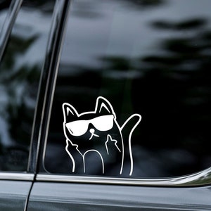 FLUFF YOU, cat sticker, FUNNY, Decal Sticker, Vinyl Sticker, Car Window, Car Bumper, MacBook, Water Bottle image 1