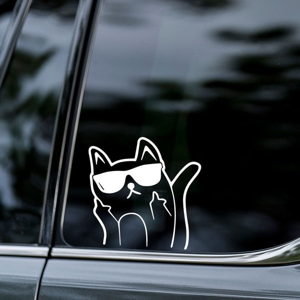 FLUFF YOU, cat sticker, FUNNY,  Decal Sticker, Vinyl Sticker,   Car Window,  Car Bumper,  MacBook,  Water Bottle