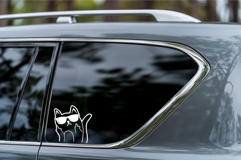 FLUFF YOU, cat sticker, FUNNY, Decal Sticker, Vinyl Sticker, Car Window, Car Bumper, MacBook, Water Bottle image 1