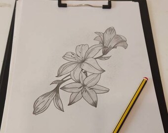 Nature draw  outline flowers