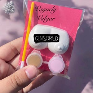 Puede incluir: Un artículo novedoso en una bolsa de plástico transparente. El artículo es un objeto blanco en forma de pecho con la palabra "CENSORED" encima. El embalaje es rosa con las palabras "Vaguely Vulgar". También son visibles dos pequeños botes de pintura y un pincel amarillo.