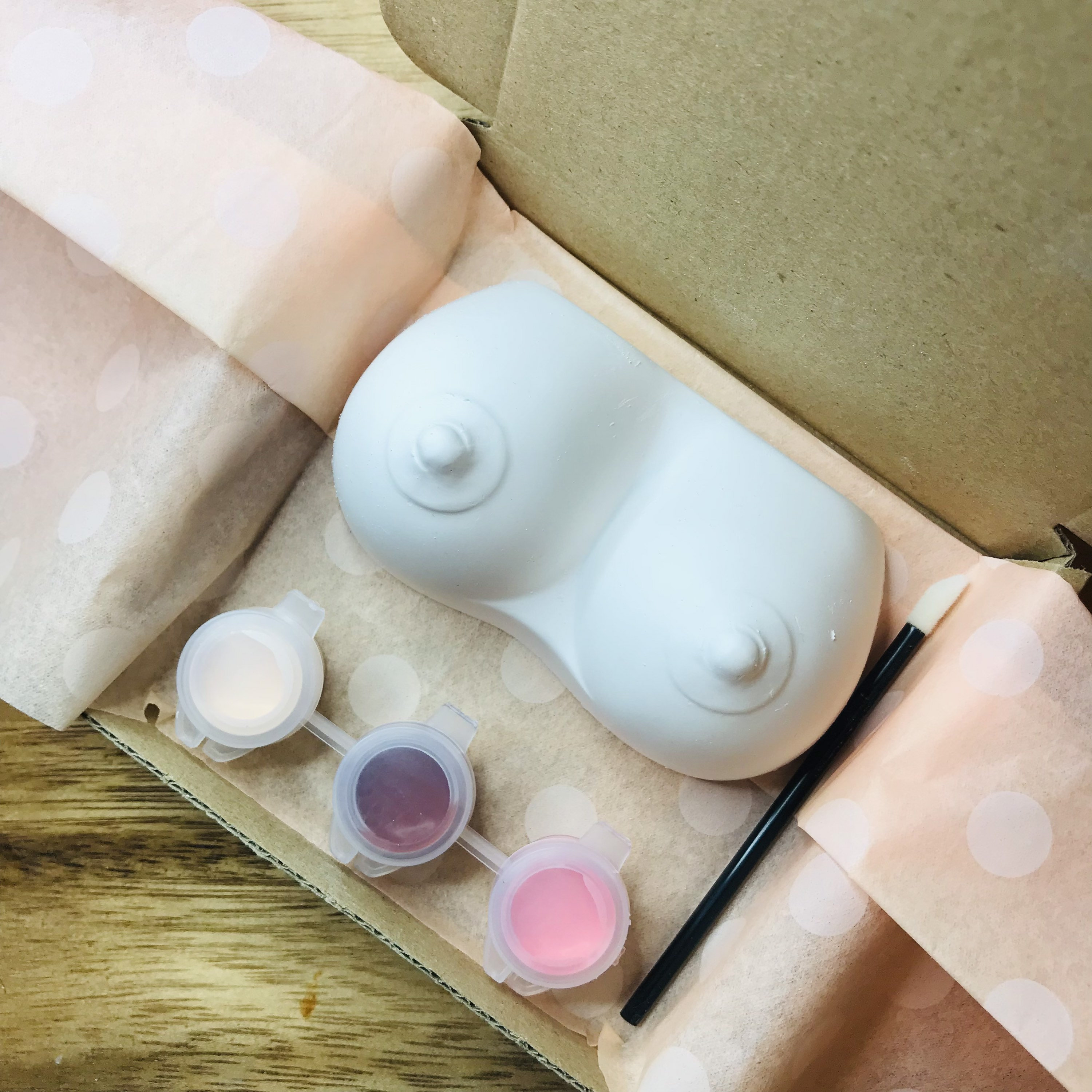Dipingi il tuo paio di tette, tette, regali di tette, regali per adulti,  contenuti per adulti, boobie, regalo di addio al nubilato, seni, kit di  artigianato per adulti, artigianato divertente - Etsy Italia