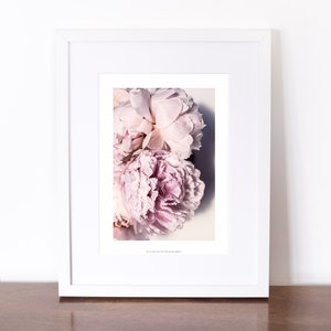 Peony petals