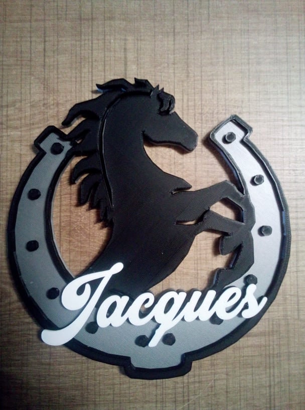 Fer A Cheval avec Prenom/Decoration Murale