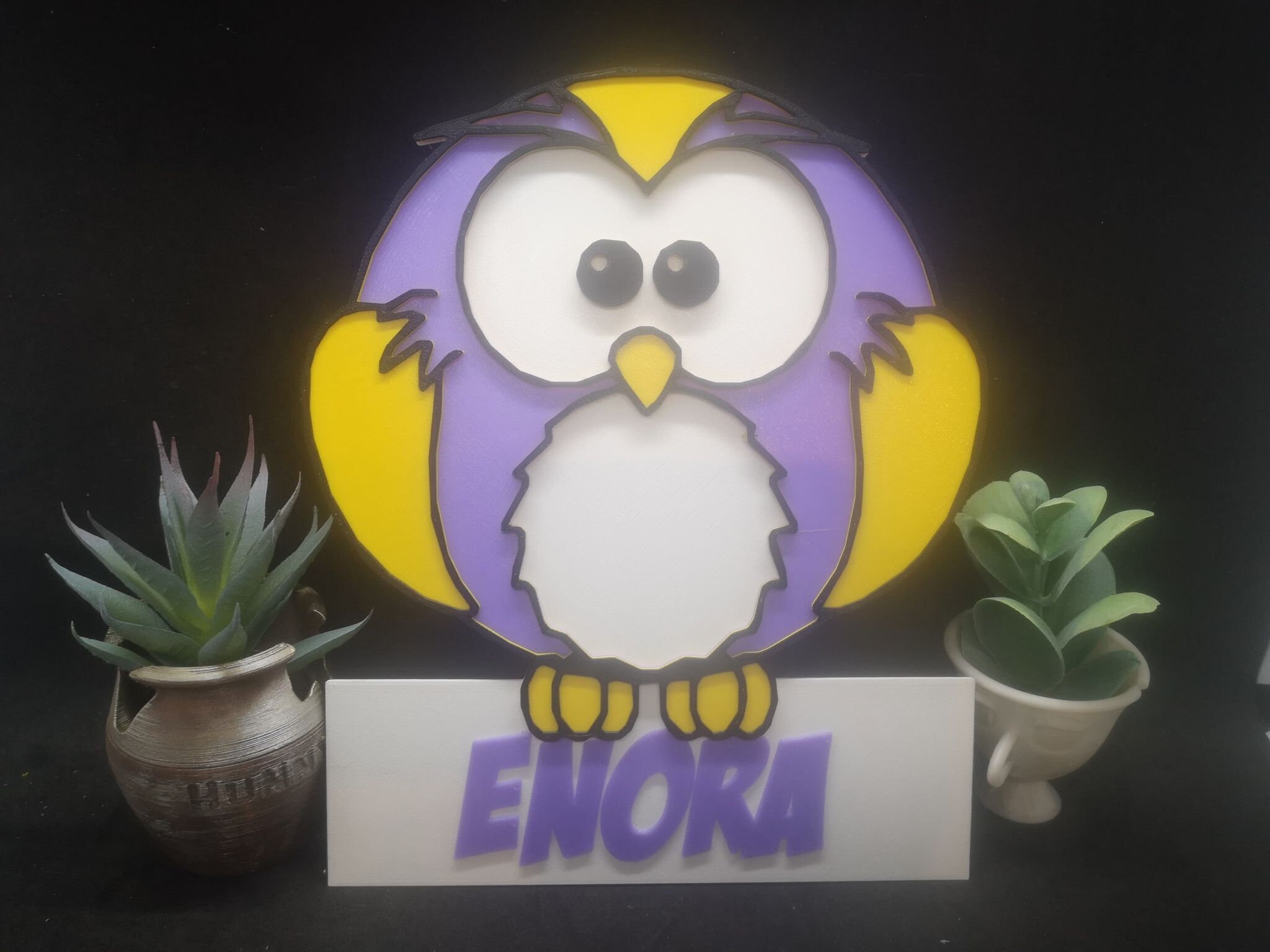 Plaque de Porte Décorative sur Le Thème Hibou