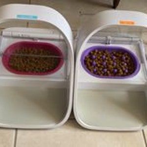 Puede incluir: Dos dispensadores autom&aacute;ticos de comida para mascotas blancos con tapas transparentes. Los dispensadores tienen cuencos rosa y morado llenos de comida para mascotas marr&oacute;n.